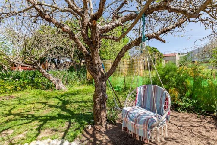 Monte Frio Alpacas Villa Nariz Exterior photo