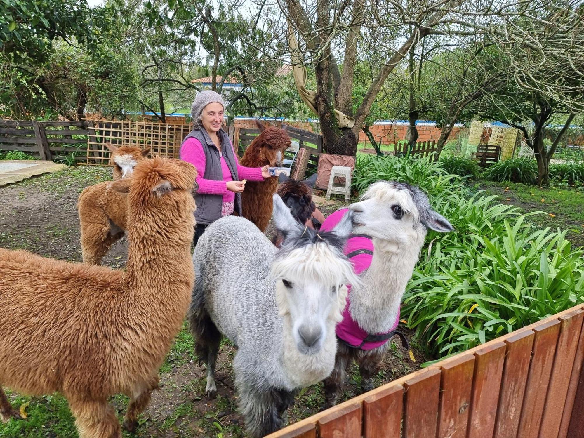 Monte Frio Alpacas Villa Nariz Exterior photo